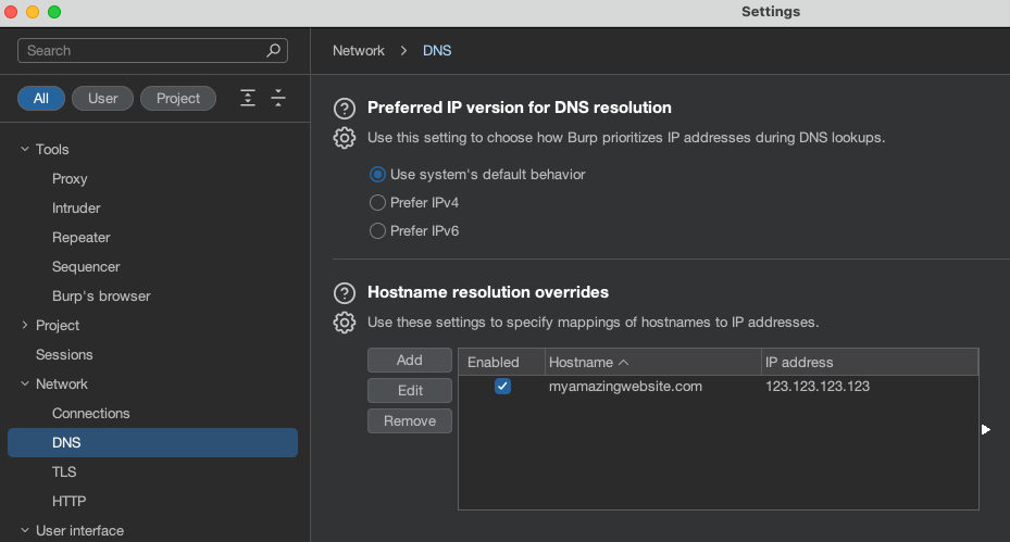 Screenshot of burp proxy settings. Network, DNS, Hostname Resolution Overrides