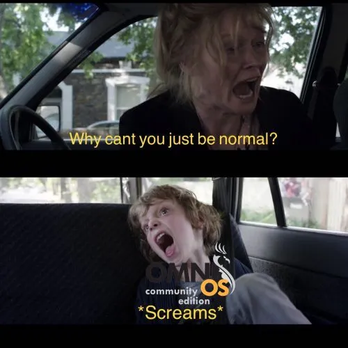 Installing Actual Budget on Omnios