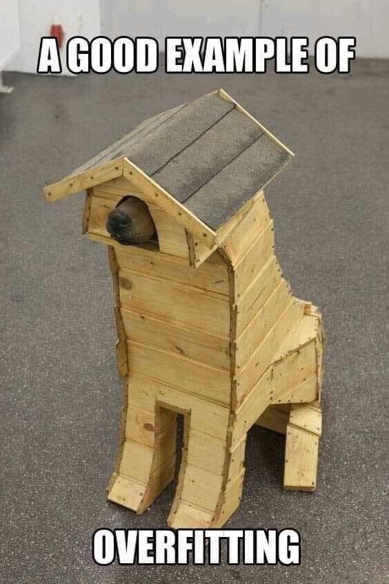 Meme of a good example of overfitting, showing a dog in a doghouse that is perfectly built to to dog's shape.